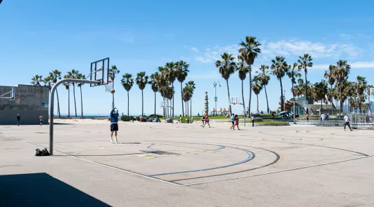 David Vives: Basketball court surrounded by Pam trees for Neighborhood Improvement