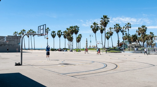 Basketball court surrounded by Palm trees
