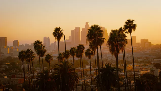 Palm trees with the DTLA skyline in the background