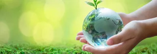 Person is holding the earth on the palm of their hand above grass